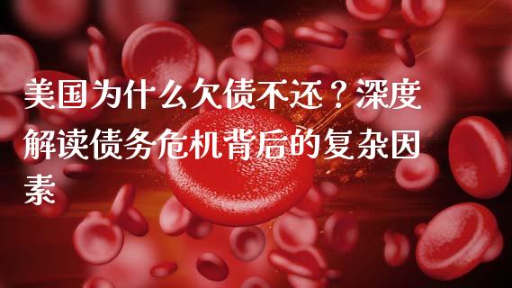 美国为什么欠债不还？深度解读债务危机背后的复杂因素_https://m.lcjysmgs.com_基金管理_第1张
