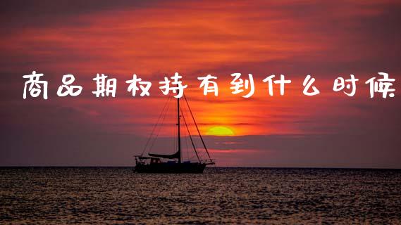 商品期权持有到什么时候_https://m.lcjysmgs.com_基金管理_第1张