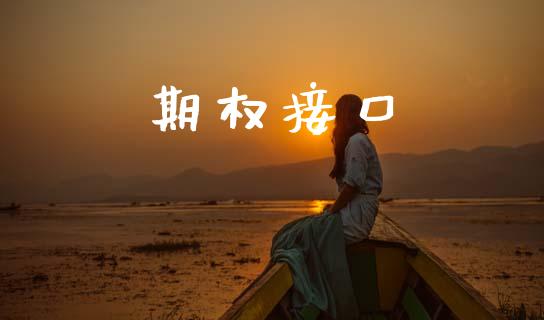 期权接口_https://m.lcjysmgs.com_股权投资_第1张