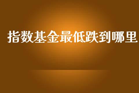 指数基金最低跌到哪里_https://m.lcjysmgs.com_金融服务_第1张