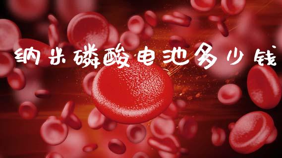 纳米磷酸电池多少钱_https://m.lcjysmgs.com_金融服务_第1张