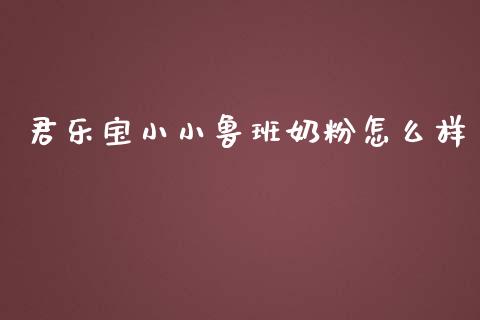 君乐宝小小鲁班奶粉怎么样_https://m.lcjysmgs.com_基金管理_第1张