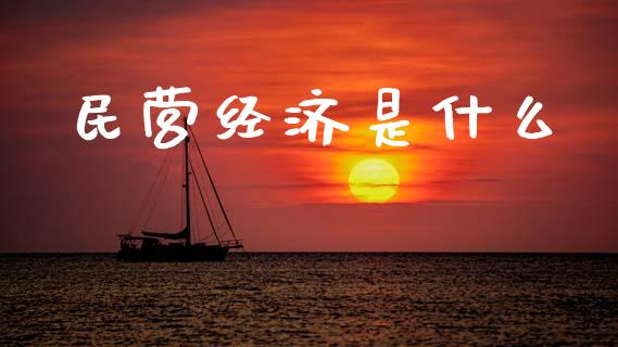 民营经济是什么_https://m.lcjysmgs.com_股票交易_第1张