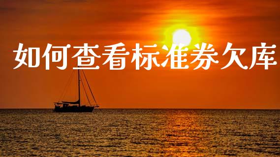 如何查看标准券欠库_https://m.lcjysmgs.com_股权投资_第1张