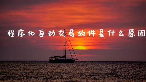 程序化自动交易软件是什么原因_https://m.lcjysmgs.com_股票交易_第1张
