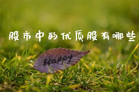 股市中的优质股有哪些_https://m.lcjysmgs.com_股权投资_第1张