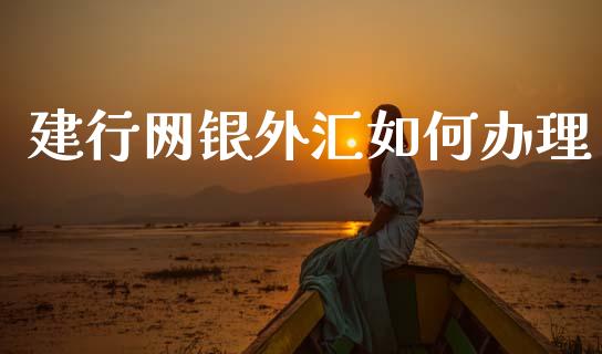 建行网银外汇如何办理_https://m.lcjysmgs.com_金融服务_第1张