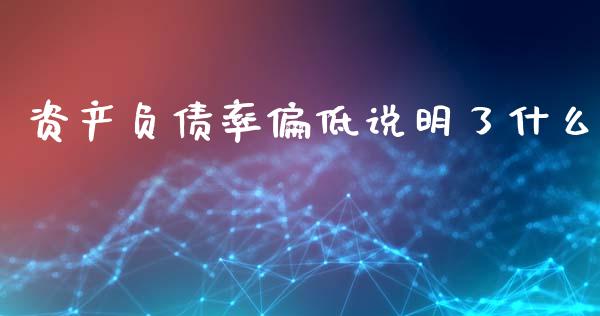 资产负债率偏低说明了什么_https://m.lcjysmgs.com_金融服务_第1张