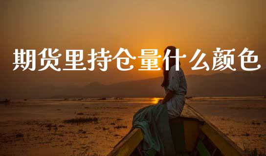 期货里持仓量什么颜色_https://m.lcjysmgs.com_金融服务_第1张