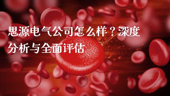 思源电气公司怎么样？深度分析与全面评估_https://m.lcjysmgs.com_基金管理_第1张