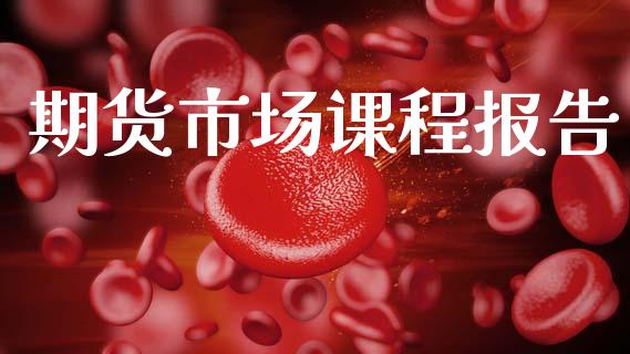 期货市场课程报告_https://m.lcjysmgs.com_股票交易_第1张