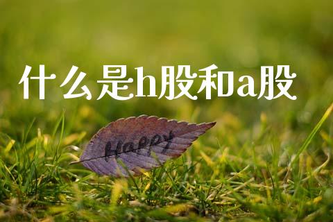 什么是h股和a股_https://m.lcjysmgs.com_基金管理_第1张