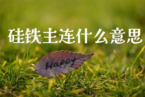 硅铁主连什么意思_https://m.lcjysmgs.com_基金管理_第1张