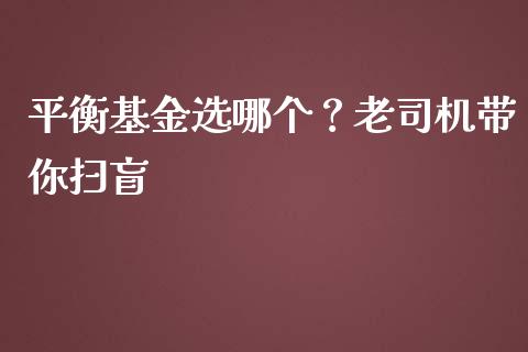 平衡基金选哪个？老司机带你扫盲_https://m.lcjysmgs.com_金融服务_第1张