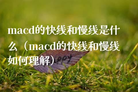 macd的快线和慢线是什么（macd的快线和慢线如何理解）_https://m.lcjysmgs.com_基金管理_第1张