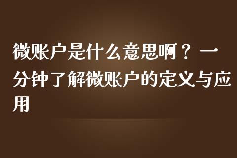 微账户是什么意思啊？ 一分钟了解微账户的定义与应用_https://m.lcjysmgs.com_金融服务_第1张