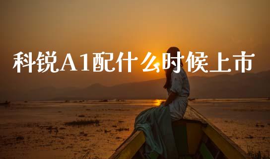 科锐A1配什么时候上市_https://m.lcjysmgs.com_金融服务_第1张