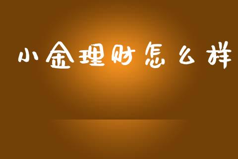 小金理财怎么样_https://m.lcjysmgs.com_金融服务_第1张