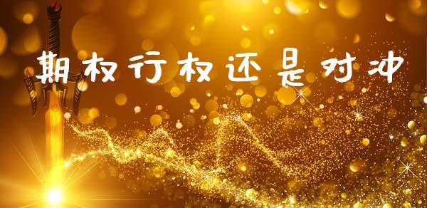期权行权还是对冲_https://m.lcjysmgs.com_基金管理_第1张