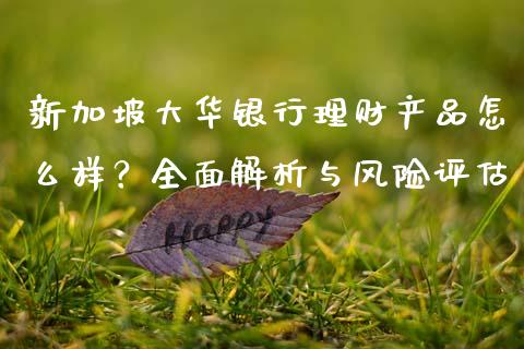 新加坡大华银行理财产品怎么样？全面解析与风险评估_https://m.lcjysmgs.com_股票交易_第1张
