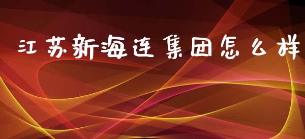 江苏新海连集团怎么样_https://m.lcjysmgs.com_基金管理_第1张