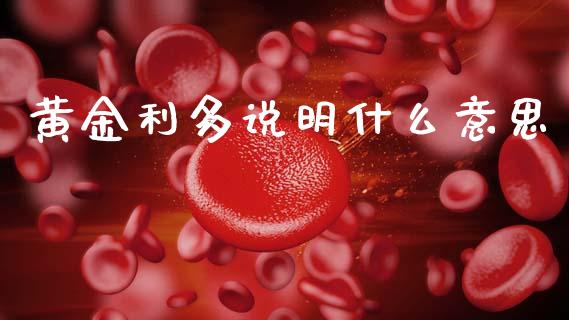 黄金利多说明什么意思_https://m.lcjysmgs.com_股票交易_第1张