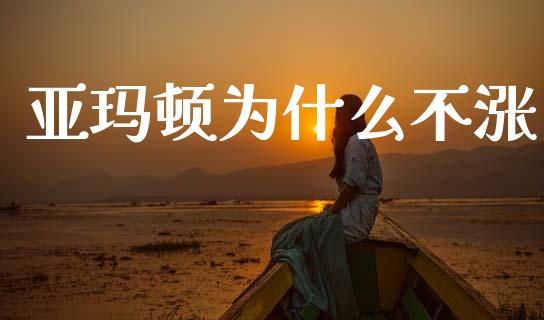 亚玛顿为什么不涨_https://m.lcjysmgs.com_基金管理_第1张