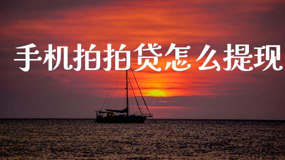 手机拍拍贷怎么提现_https://m.lcjysmgs.com_股权投资_第1张