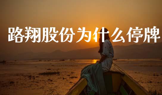 路翔股份为什么停牌_https://m.lcjysmgs.com_股权投资_第1张