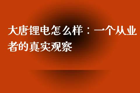 大唐锂电怎么样：一个从业者的真实观察_https://m.lcjysmgs.com_金融服务_第1张