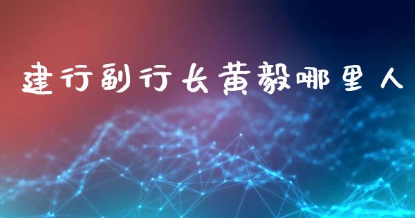 建行副行长黄毅哪里人_https://m.lcjysmgs.com_股票交易_第1张