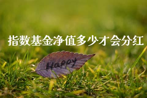 指数基金净值多少才会分红_https://m.lcjysmgs.com_金融服务_第1张