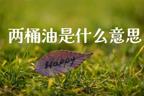 两桶油是什么意思_https://m.lcjysmgs.com_基金管理_第1张