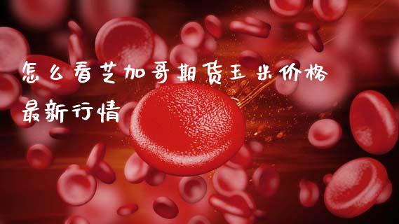 怎么看芝加哥期货玉米价格最新行情_https://m.lcjysmgs.com_基金管理_第1张