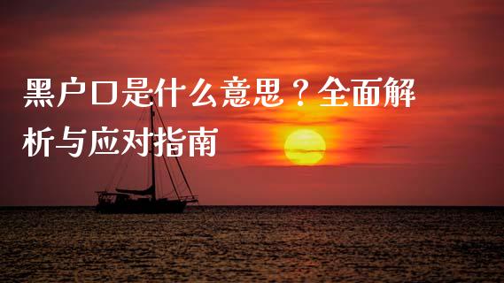 黑户口是什么意思？全面解析与应对指南_https://m.lcjysmgs.com_金融服务_第1张
