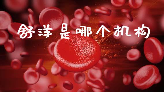 舒洋是哪个机构_https://m.lcjysmgs.com_金融服务_第1张