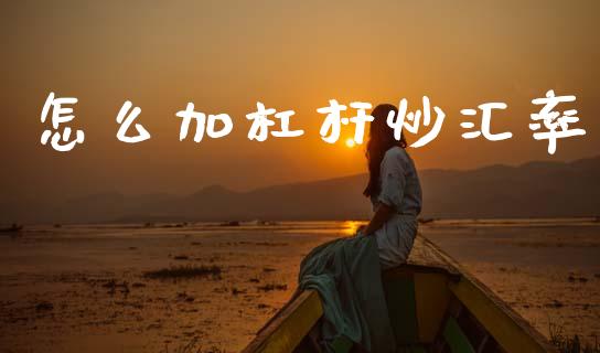 怎么加杠杆炒汇率_https://m.lcjysmgs.com_基金管理_第1张