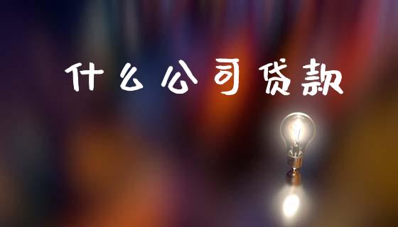 什么公司贷款_https://m.lcjysmgs.com_股权投资_第1张