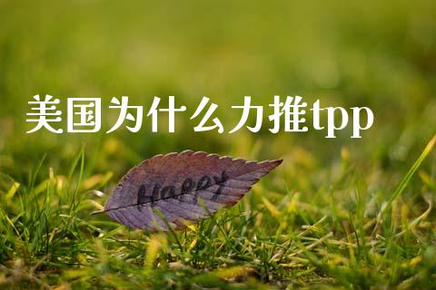 美国为什么力推tpp_https://m.lcjysmgs.com_基金管理_第1张
