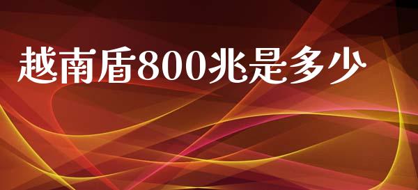 越南盾800兆是多少_https://m.lcjysmgs.com_股权投资_第1张