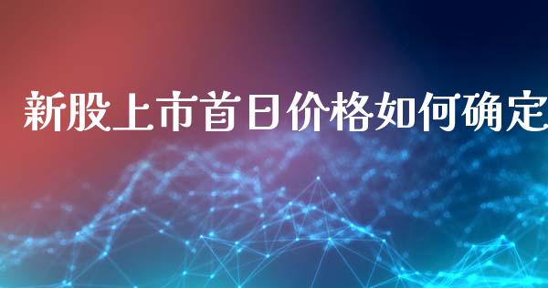 新股上市首日价格如何确定_https://m.lcjysmgs.com_金融服务_第1张