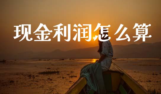 现金利润怎么算_https://m.lcjysmgs.com_金融服务_第1张