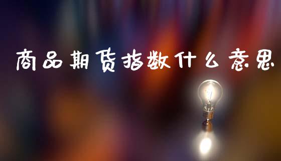 商品期货指数什么意思_https://m.lcjysmgs.com_股票交易_第1张