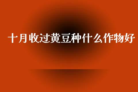 十月收过黄豆种什么作物好_股票交易_第1张_股权投资_基金管理_股票交易_金融服务 十月收过黄豆种什么作物好_https://m.lcjysmgs.com_股票交易_第1张