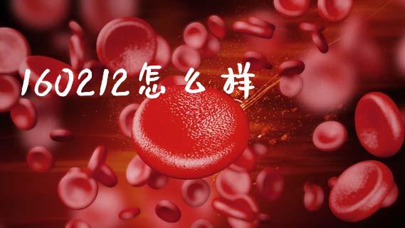 160212怎么样_https://m.lcjysmgs.com_基金管理_第1张