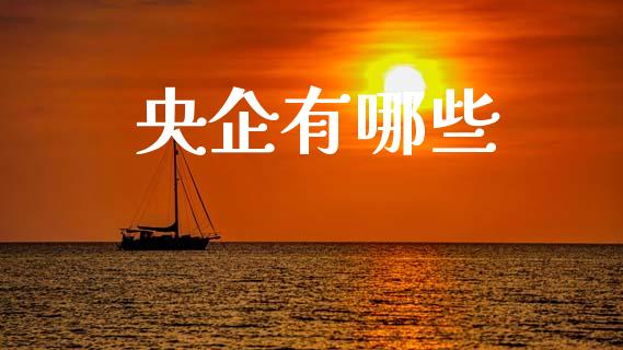 央企有哪些_https://m.lcjysmgs.com_股权投资_第1张