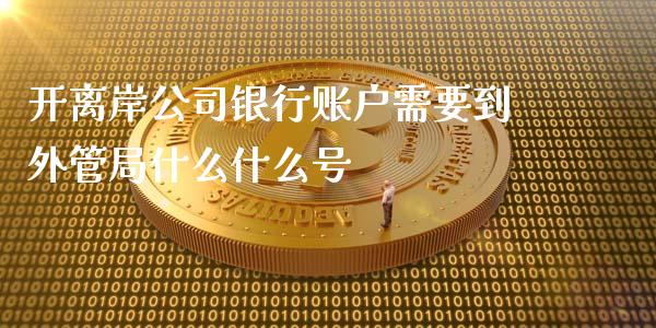 开离岸公司银行账户需要到外管局什么什么号_https://m.lcjysmgs.com_股票交易_第1张