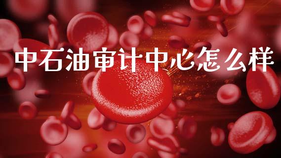 中石油审计中心怎么样_https://m.lcjysmgs.com_股票交易_第1张