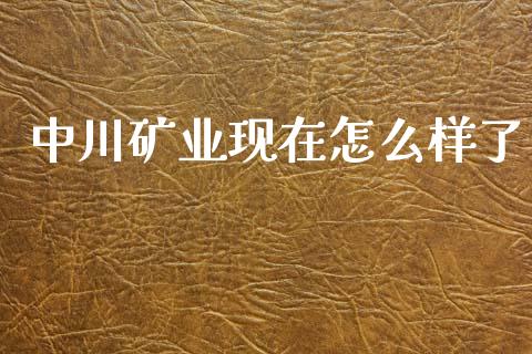 中川矿业现在怎么样了_https://m.lcjysmgs.com_股票交易_第1张