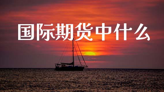 国际期货中什么_股权投资_第1张_股权投资_基金管理_股票交易_金融服务 国际期货中什么_https://m.lcjysmgs.com_股权投资_第1张